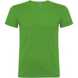 Beagle koszulka dziecięca z krótkim rękawem grass green (K65545CE)