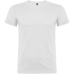 Beagle koszulka męska z krótkim rękawem biały (R65541Z1)
